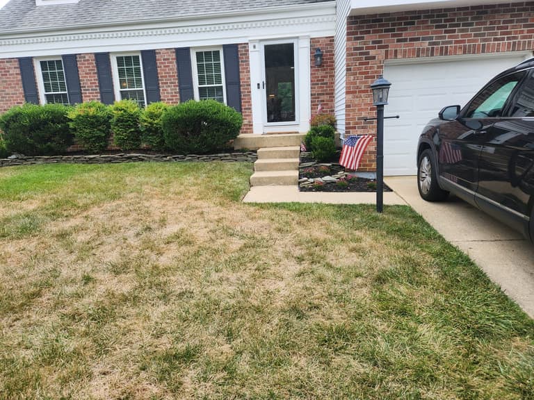 Before — the original concrete stoop and steps beside the garage, with the flagpole and foundation hedges