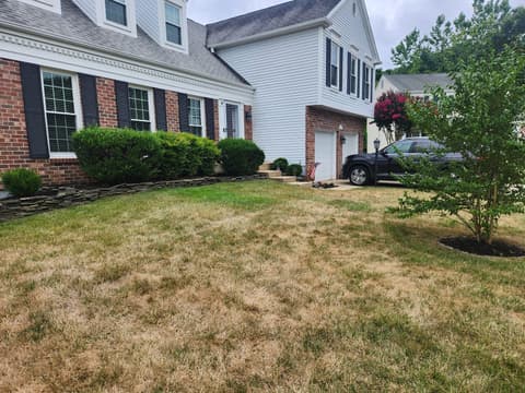 Before — the front of the house from the driveway side, hedges grown up against the windows