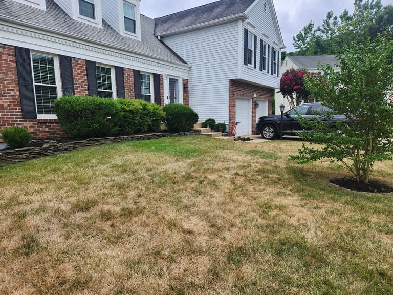 Before — the front of the house from the driveway side, hedges grown up against the windows