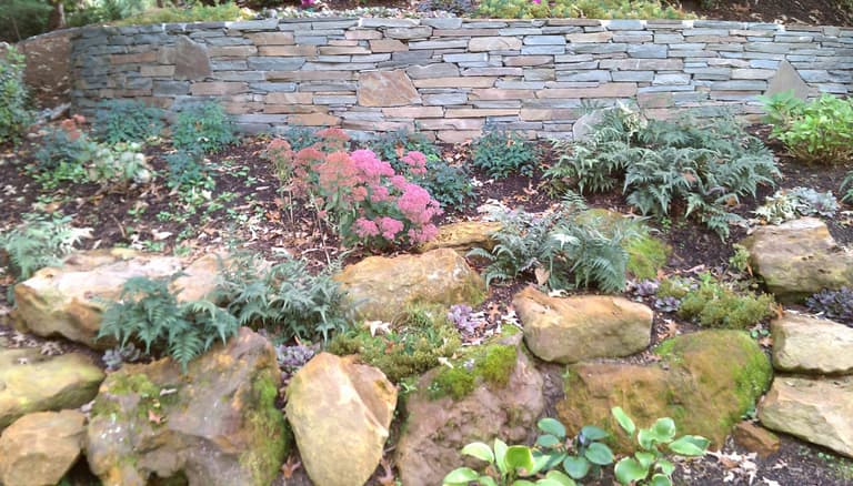 Dry-stacked stone wall above a boulder-edged shade garden of ferns and sedum
