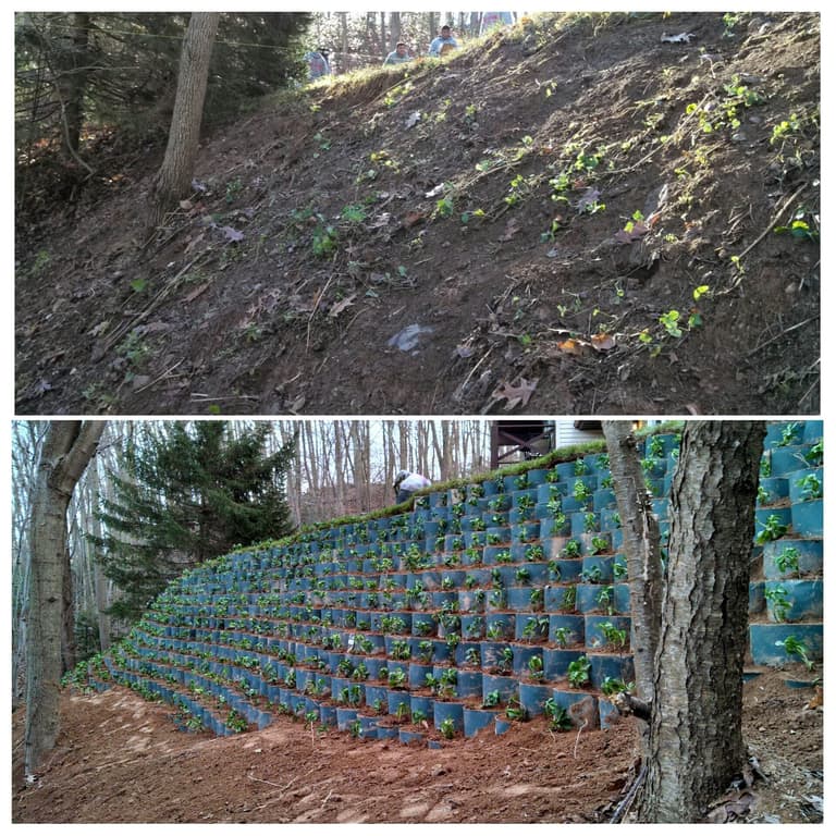 Before and after of a vegetated slope-stabilization system